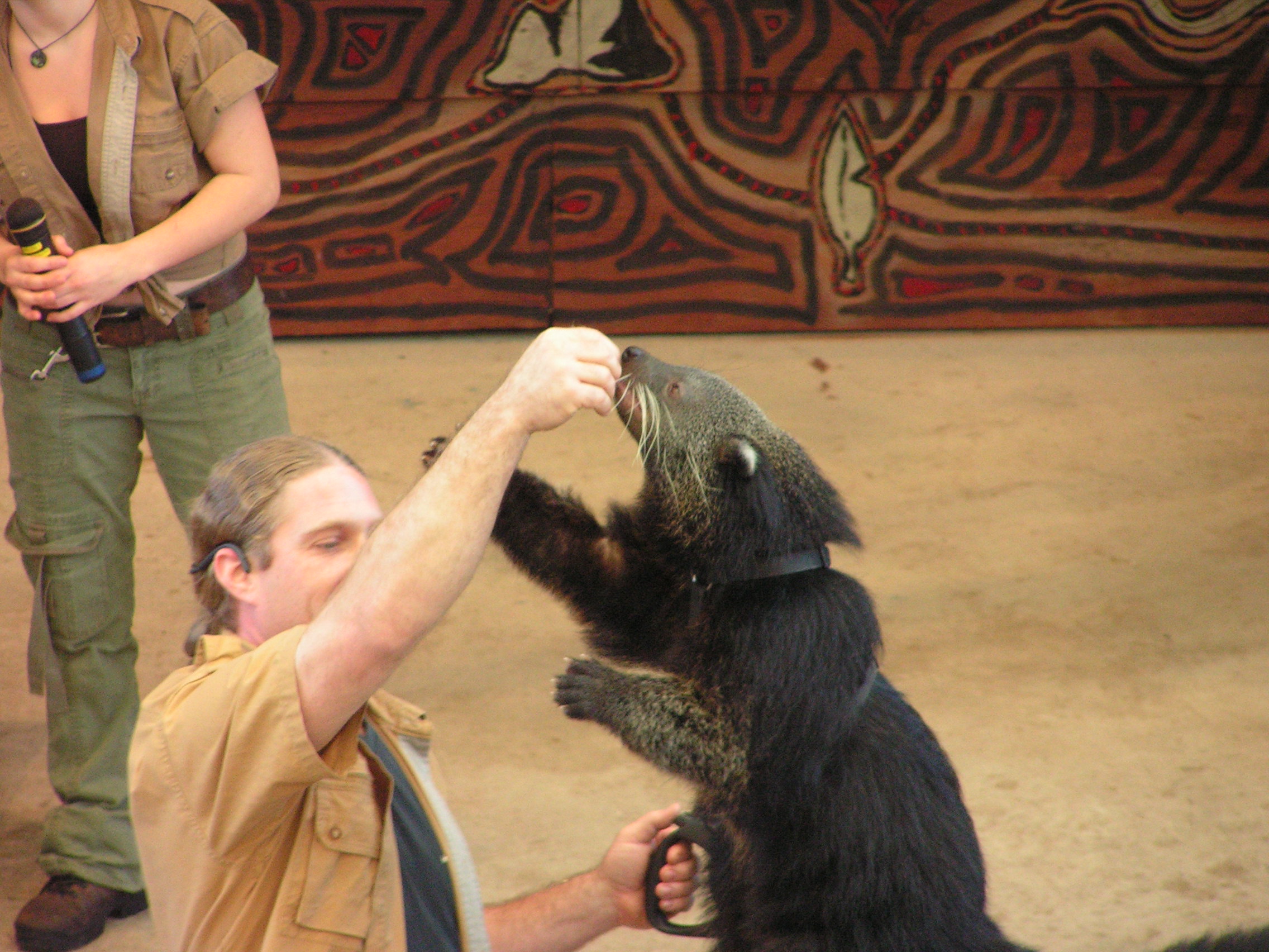 ./2006/Christmas/Parrot Jungle/PICT0259.JPG